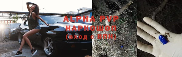 прущие крисы Иннополис