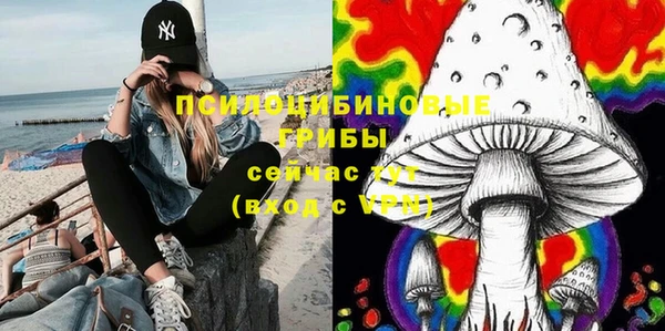 прущие крисы Иннополис