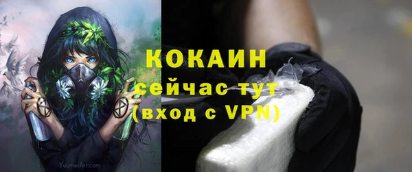 PSILOCYBIN Инсар