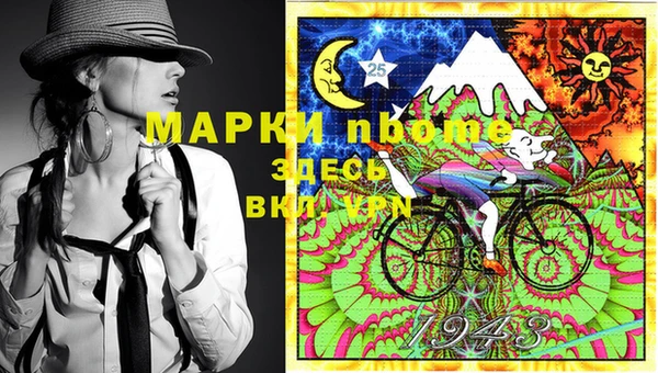 PSILOCYBIN Инсар