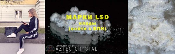 PSILOCYBIN Инсар