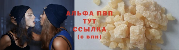 твердый Инта