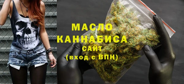 мет Каменка