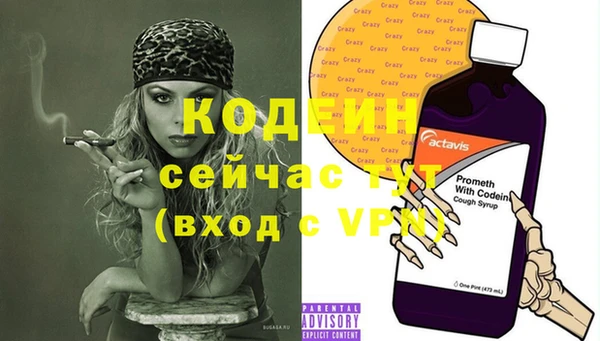 молекула духа Каменск-Шахтинский