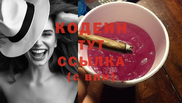 PSILOCYBIN Инсар