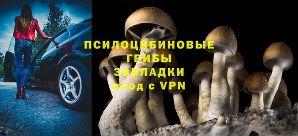 PSILOCYBIN Инсар
