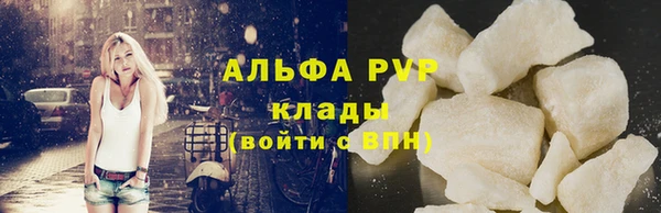 твердый Инта