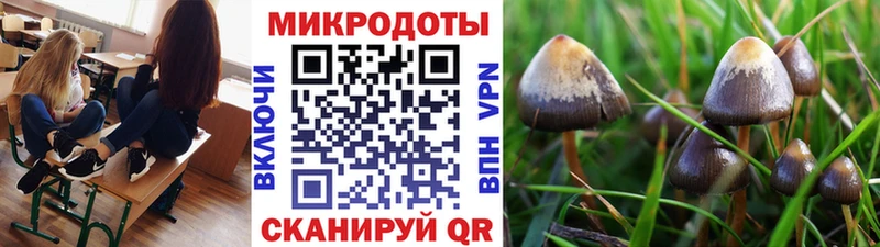 Галлюциногенные грибы Psilocybine cubensis  Купить закладки  Зуевка 
